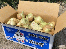 淡路島【極味】玉葱10kg　たまねぎラー油(100g瓶)&淡路島のかほりセット