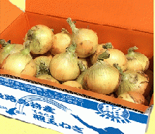 淡路島【極味】玉葱10kg　玉ねぎカレー5食・かほりセット
